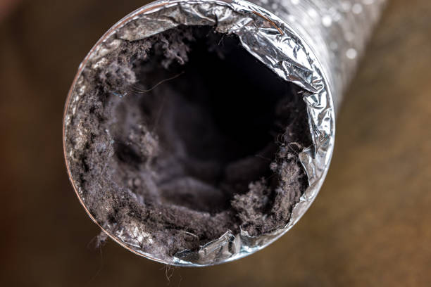 Best HVAC Duct Inspection Services  in Camp Swift, TX